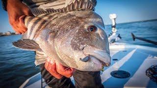 How to Catch Sheepshead (Sheepshead Fishing Made Easy) (Bottom Sweeper Jig)