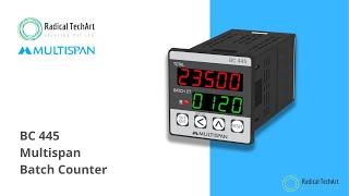 Multispan BC445 Batch Counter  #multispan RadicalTechArt I RadicalTalks I RadicalTechMart