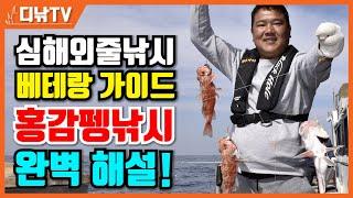 심해 외줄낚시 베테랑 가이드 홍감펭낚시 완벽 해설! [디낚TV]