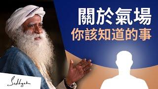 關於氣場你該知道的事 | Sadhguru (薩古魯)