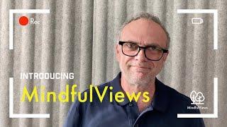 Introducing MindfulViews