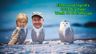 Ethan and Ingrid's 2024 Big Year (Week 44 and 45)