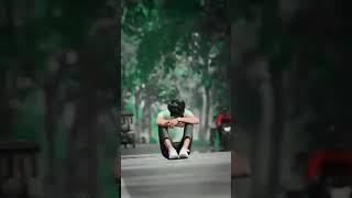 mister Vikas Pal