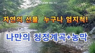 ​수식어 필요없는 숨겨진 자연의 선물! 나만의 청정계곡+농막( 440평) 강원도평창봉평진부부동산전원농가주택시골집펜션부지토지땅매매물공인중개사