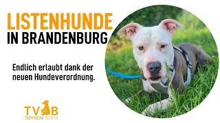 Keine Rasseliste mehr für Hunde in Brandenburg