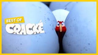 CRACKÉ - SHRINKING BIRD | Cartoon Animation | Compilation