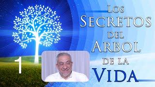 Kabbalah: Los secretos del árbol de la vida - clase 1