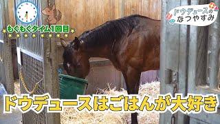 【独占映像】ドウデュースのなつやすみに密着！