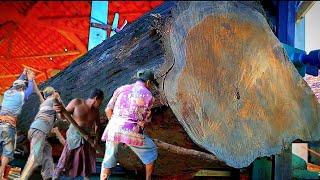 Increíble habilidad para cortar madera de teca || madera de teca india