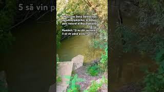 Delta Dambovitei | Chiajna, Ilfov, Bucuresti