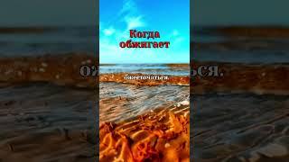 Как пережить разочарование в людях. #цитаты   #любовь  #размышления  #философия