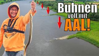 Aalangeln im Fluss: Mit Wurm zum Erfolg - So einfach geht's!