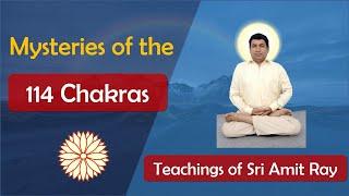 The 114 Chakras in Human Body | Sri Amit Ray Teachings | Ray 114 Chakras Meditation Course