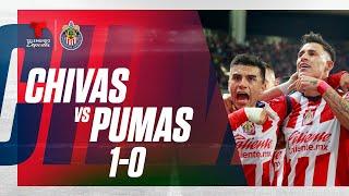 Highlights & Goles | Chivas vs Pumas 1-0 | Telemundo Deportes