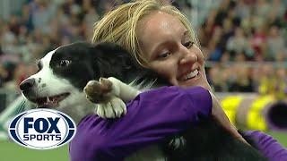 P!nk the border collie wins back-to-back titles at the 2019 WKC Masters Agility | FOX SPORTS