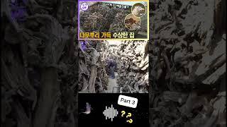 40년째 나무뿌리를 수집한 남자의 사연은?