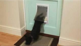 Staywell® Aluminium Pet Door for Dogs & Cats