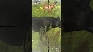 wolf  hunting ll #wolf ll #hunting ll #shorts ll #sanbandongvathoangda ll #crazyxyz ll #889145