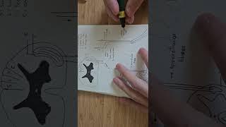 #basicanatomy #occipitalneuralgia #skeletonart #art #senseorgansfunctions #skeletondrawing