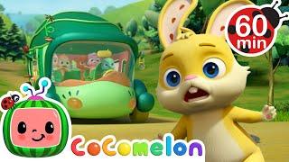 Wheels On The Bus + Animals! | Animals for Kids | Funny Cartoons | Learn about Animals