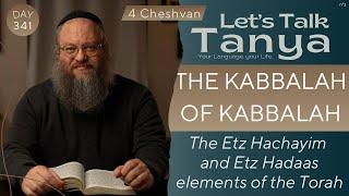 The Kabbalah of Kabbalah: The Etz Hachayim and Etz Hadaas elements of the Torah | 4 Cheshvan | #341