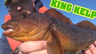 WA Fish Quest EP 53: Kelp Greenling