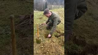 So machst du ein Feuer ohne entdeckt zu werden  #feuermachen#survival#bushcraft#naturhack