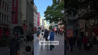 난징동루 요약정리!