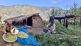 This is Himalayan Very Peaceful Nepali Village Lifestyle | Organic Food Cooking in Countryside