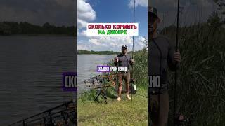 ЛОВЛЯ КАРПА И САЗАНА НА ДИКАРЕ #карпфишинг