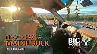 Tracking a Maine Buck with Rick Labbe | Big Woods Bucks