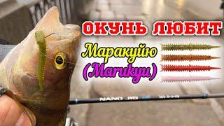 МАРАКУЙЯ. Пробую УЛОВИСТУЮ ПРИМАНКУ по ОКУНЮ! Спиннинг MIFINE NаnoJig 0.5-2 гр. 183см в ДЕЛЕ!