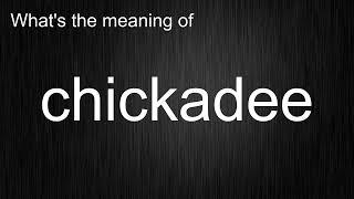 What's the meaning of "chickadee", How to pronounce chickadee?