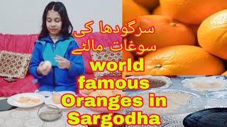 World Famous Pakistani Oranges In Sargodha||stories of saudi Arabia|| Abeeha eating Halwa pouri||