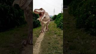 Dinosaur  #short #video #subscribe