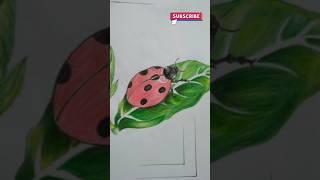 How to draw insect.How to draw colour pencil grass insect.#ytshorts#shorts@MrBeast