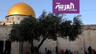 بنود مسربة من خطة ترمب للسلام