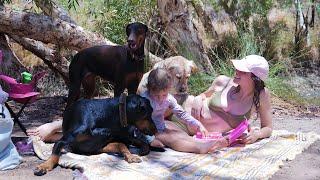 Green Pool | Pilbara Swimming Holes | Family Fun Day