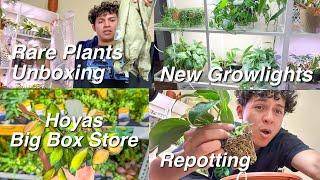 Plant Vlog | Wishlist Plants Unboxing, Plant Updates, & Plant Shopping!