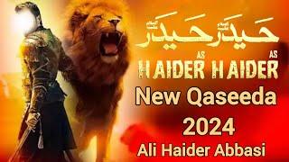 Haider Haider Karta Hon | New Qasida  2024  | New Qasida 2024 | TikTok Viral Video |