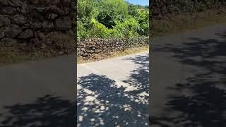 O ses böyle çıkıyor, en orijinal müzik kutusu
