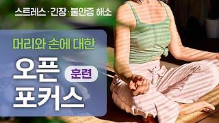 #머리와손에대한오픈포커스―스트레스와 긴장, 불안을 해소하는 오픈 포커스 훈련  #오픈포커스명상 #오픈포커스브레인