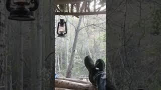 Doğaya Kaçış #bushcraft #camping #shelter #kamp #ağaçev #survival #skills
