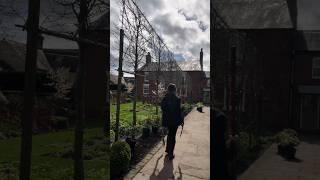replanting the hornbeam walk #fyp #gardening #gardener
