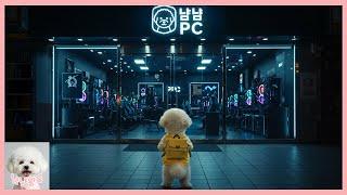 왜 엄마가 오질 않지..?! 냠냠이를 찾아 밤길을 나서는 냠돌이