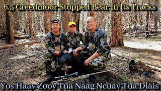 Bear Hunting | Bear Hits The Dirt On The Run | Hmong Hunting Tua Dlais Tua Naag Ncuav Lomzem Kawg