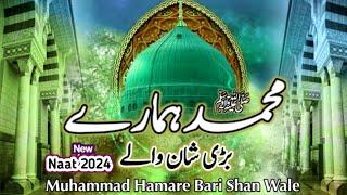 Muhammad Humary Bari Shan Waly | Beautiful Naat 2024 | New Naat 2024