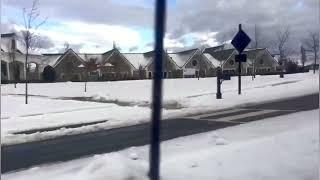 Heavy Snowfall at Ashburn VA , USA |#shorts #Surabiphotography vid002