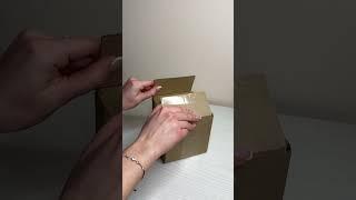 IMG 0249