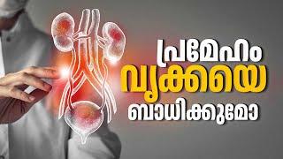 പ്രമേഹത്തിന് നാട്ടുവൈദ്യം ഉപകാരമോ അതോ ആപത്തോ?| Diabetic Nephropathy | Diabetes Natural Cure | Health